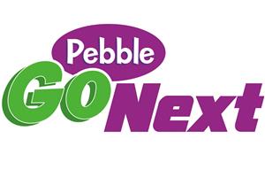 pebble go next 